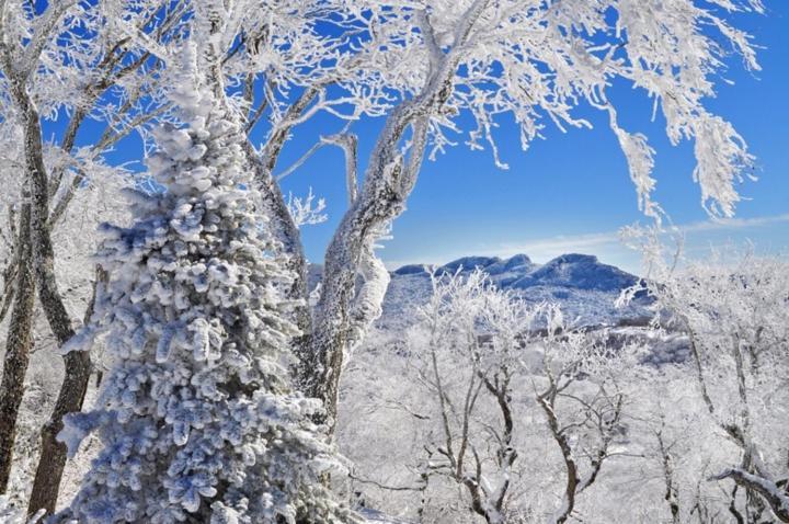 Handsome 2Br Condo With Gorgeous Views In Sugar Mountain! Condo 외부 사진